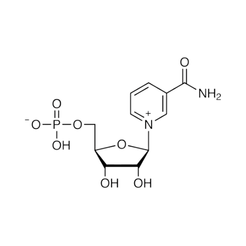 NMN Molekül-Struktur